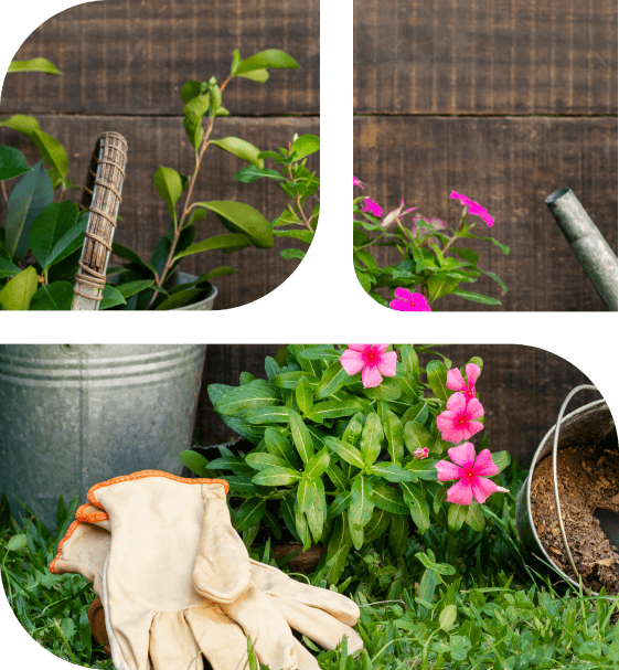 Manutenção de Jardim Urgente