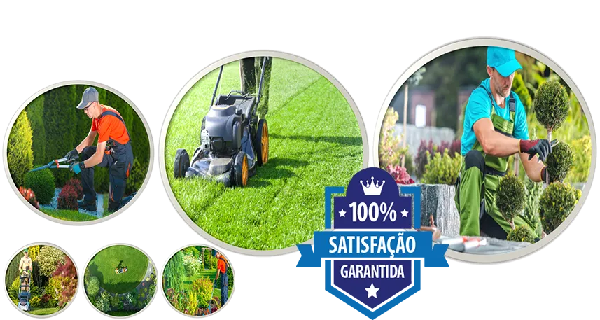 Manutenção de Jardim de Empresa na Freguesia do Ó